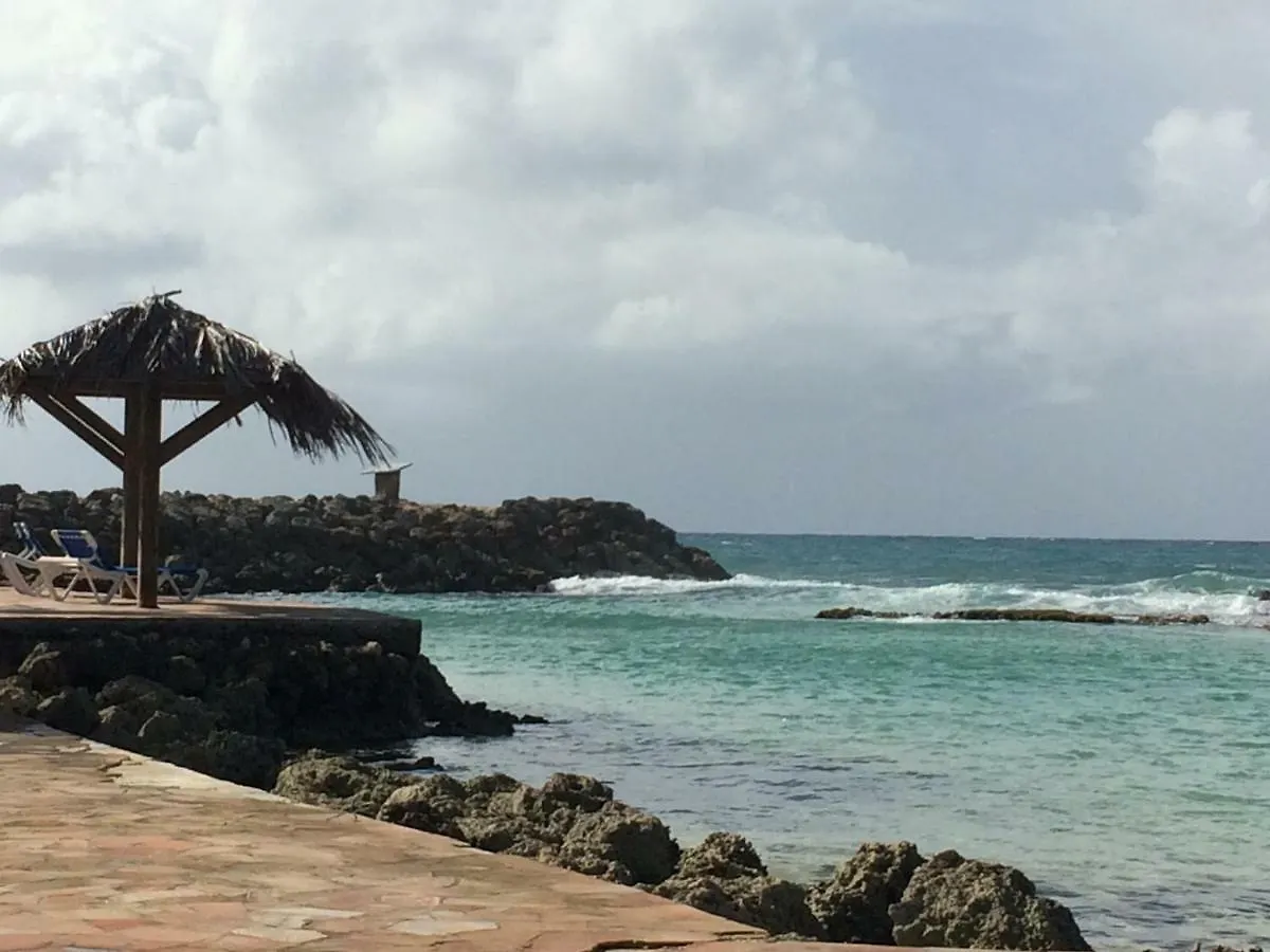 Joli Appartement T3 Avec Acces Piscine Et Plage Saint-Francois   Saint-Francois (Grande-Terre)